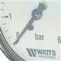 Манометр Watts F+R100 MAL Ø50 мм 0-6 бар 1/4" аксиальный (10008092) для систем отопления и водоснабжения 10008092
