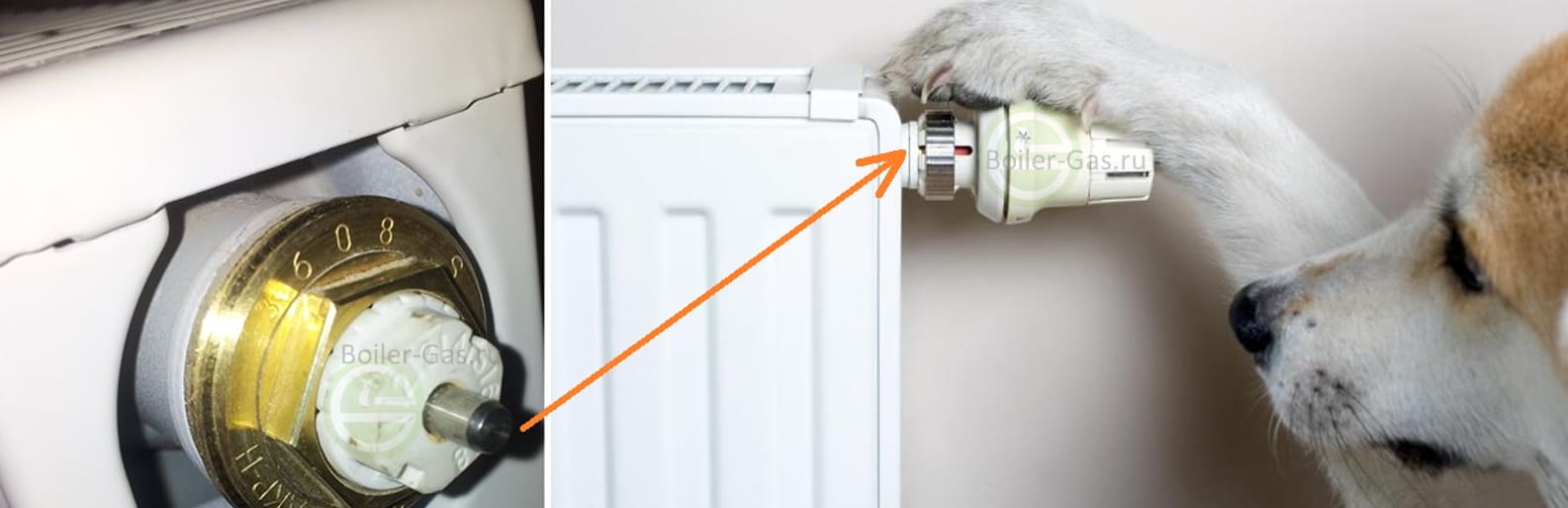 термоголовка, терморегулятор, термостат для радиатора отопления