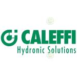 Группы безопасности котлов отопления Caleffi (Калеффи)