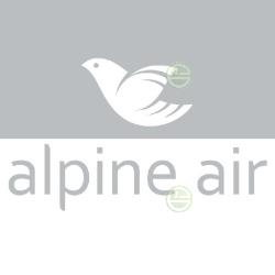 Радиаторы Alpine Air - купить чугунные радиаторы отопления частного дома