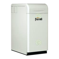 Напольные газовые котлы Ferroli Pegasus - купить котел отопления частного дома