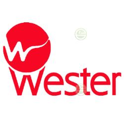 Гидроаккумуляторы для водоснабжения Wester купить расширительные баки для отопления частного дома цена